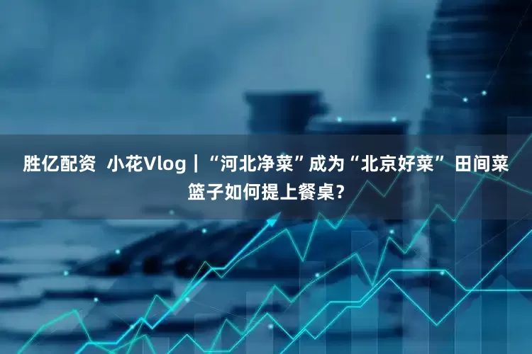 胜亿配资  小花Vlog｜“河北净菜”成为“北京好菜” 田间菜篮子如何提上餐桌？