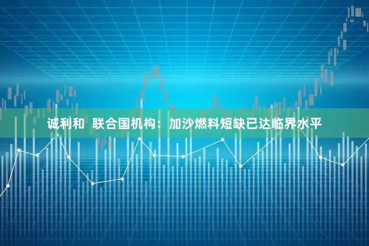 诚利和  联合国机构：加沙燃料短缺已达临界水平