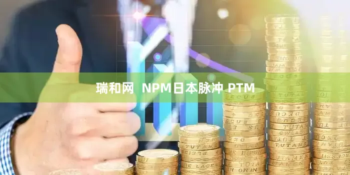 瑞和网  NPM日本脉冲 PTM