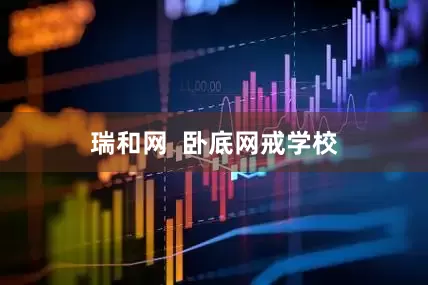 瑞和网  卧底网戒学校